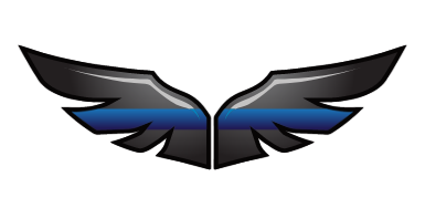 Blue Line Aviation