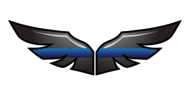 Blue Line Aviation